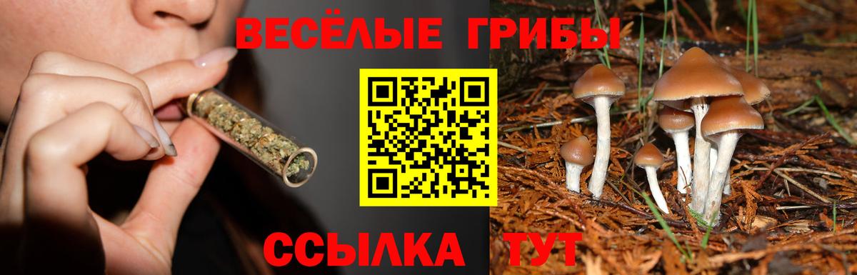 Галлюциногенные грибы мухоморы  Вход с VPN  Кингисепп  Псилоцибиновые грибы мицелий 